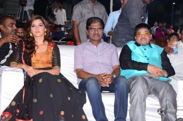 Pantham Audio Release Function